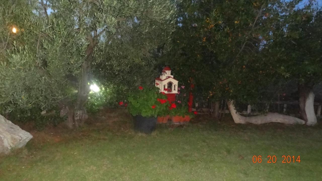 Villa Hrisavgi Nikiti  Buitenkant foto
