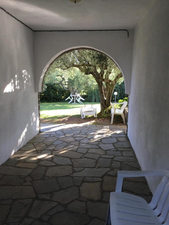 Villa Hrisavgi Nikiti  Buitenkant foto